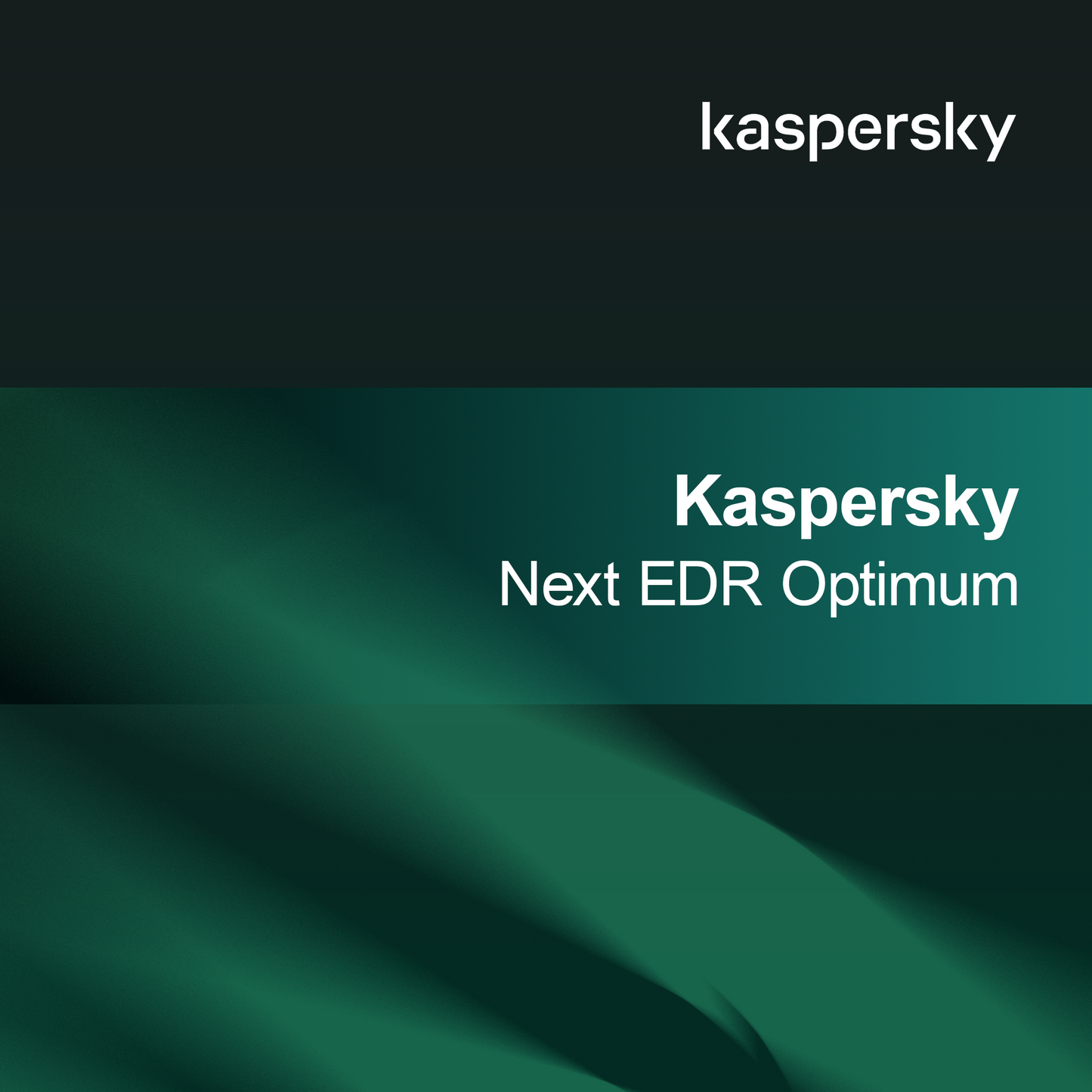 Kaspersky Next EDR Ótimo